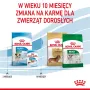 ROYAL CANIN Puppy Mini - kuiv koeratoit - 8 kg