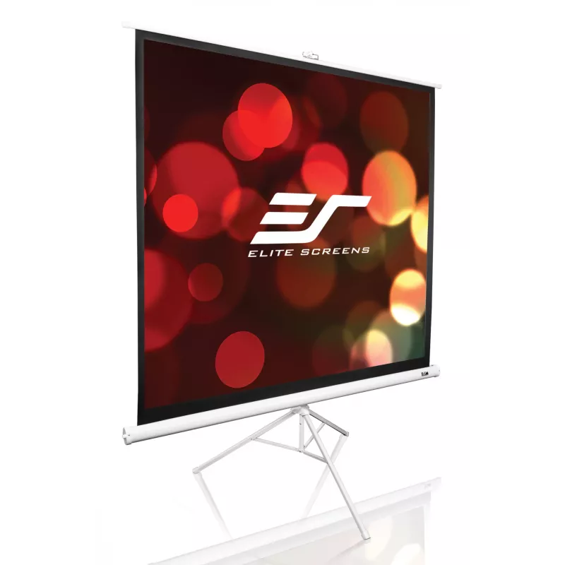 Statiivi projektsioonekraan Elite Screens T113NWS1 2,87 m 1:1