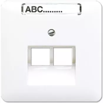 Seinakontakt RJ-45 Jung CD 569-2 NAUA WW — Valge termoplastist võrgukonnektor