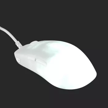 Endgame Gear OP1 RGB hiir Mängimiseks Paremakäeline USB Type-A Optiline 26000 DPI
