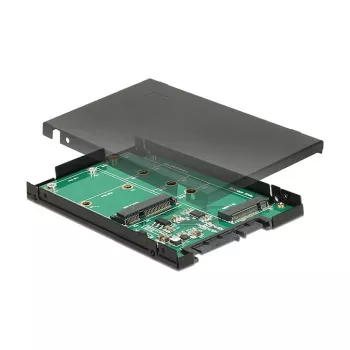 Liidesekaart DeLOCK 62866 Sisemine M.2 mSATA
