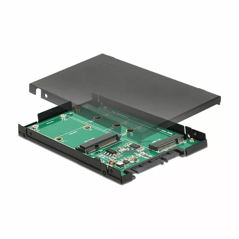 Liidesekaart DeLOCK 62866 Sisemine M.2 mSATA