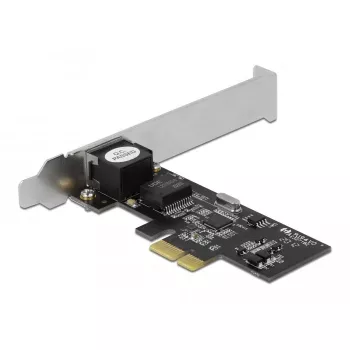 Delock - Võrguadapter - PCIe 2,1 madalprofiil - 2,5GBase-T (89598)