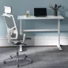 Käsitsi reguleeritava kõrgusega laud Ergo Office, max 40 kg, max kõrgus 117 cm, lauaplaadiga seismiseks ja istumiseks töötamiseks, ER-401 W