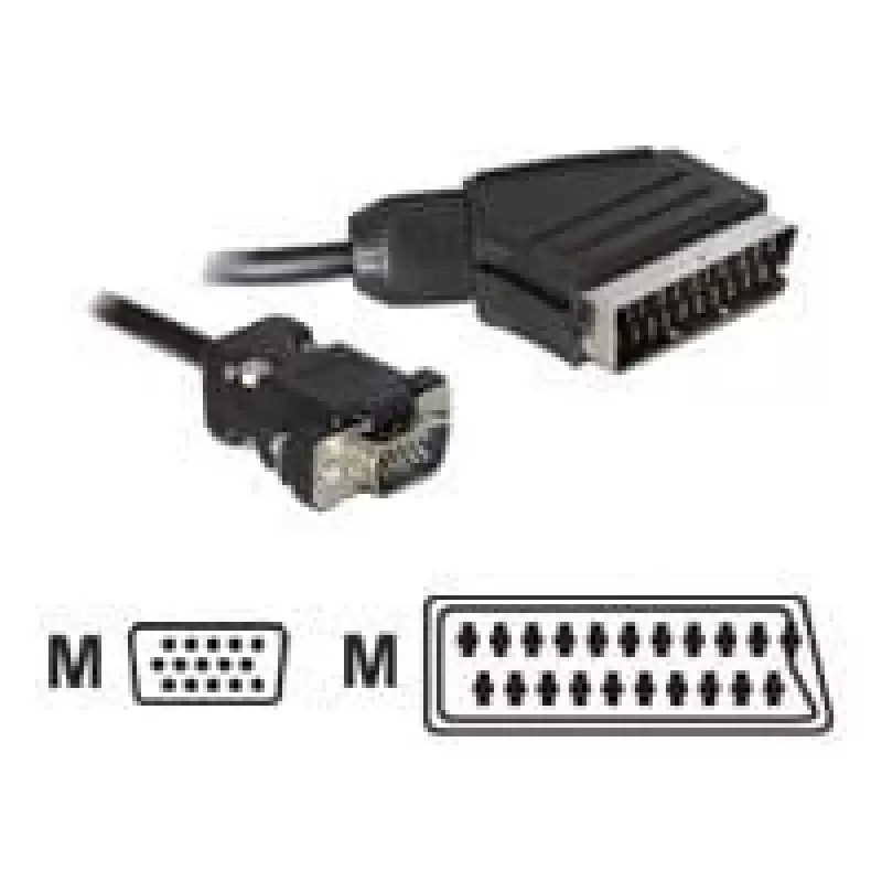 Video kaabli adapter DeLOCK 65028 SCART (21-kontaktiline) VGA-le (D-Sub) 2 m
