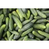 Wisconsin Cucumber SMR 58 Toraf köögiviljaseemned, 5g pakend