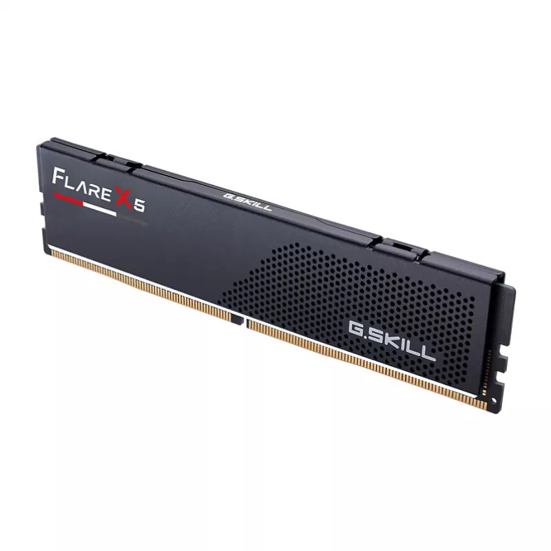 DDR5 8 GB G.SKILL Flare X5 F5-5600J3636C8GH1-FX5 5600 MT/s 288-pin DIMM CL36