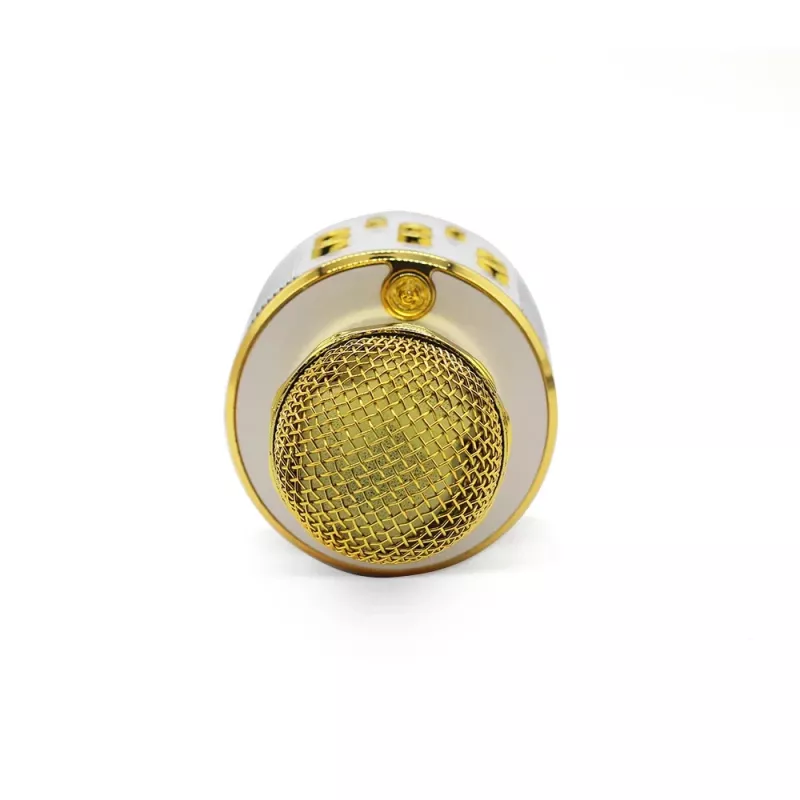 Mikrofon MANTA MIC10-G Gold kardioidne kaasaskantav — kardioidne kondensaator, pihuformaadis