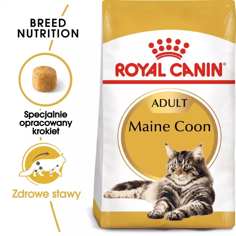 Royal Canin FBN Maine Coon Adult kuiv kassitoit, 4 kg