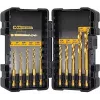 DeWALT DT50050-QZ