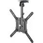 Goobay TV-lae kinnitusklamber Basic (M), must (70824)