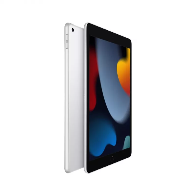 Tahvelarvuti Apple iPad 10,2 tolli A13 64 GB iPadOS 15