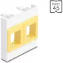 Paigaldusraam DELOCK Easy 45 Module 2x Keystone-hoidikud 45×45 mm valge/kollane