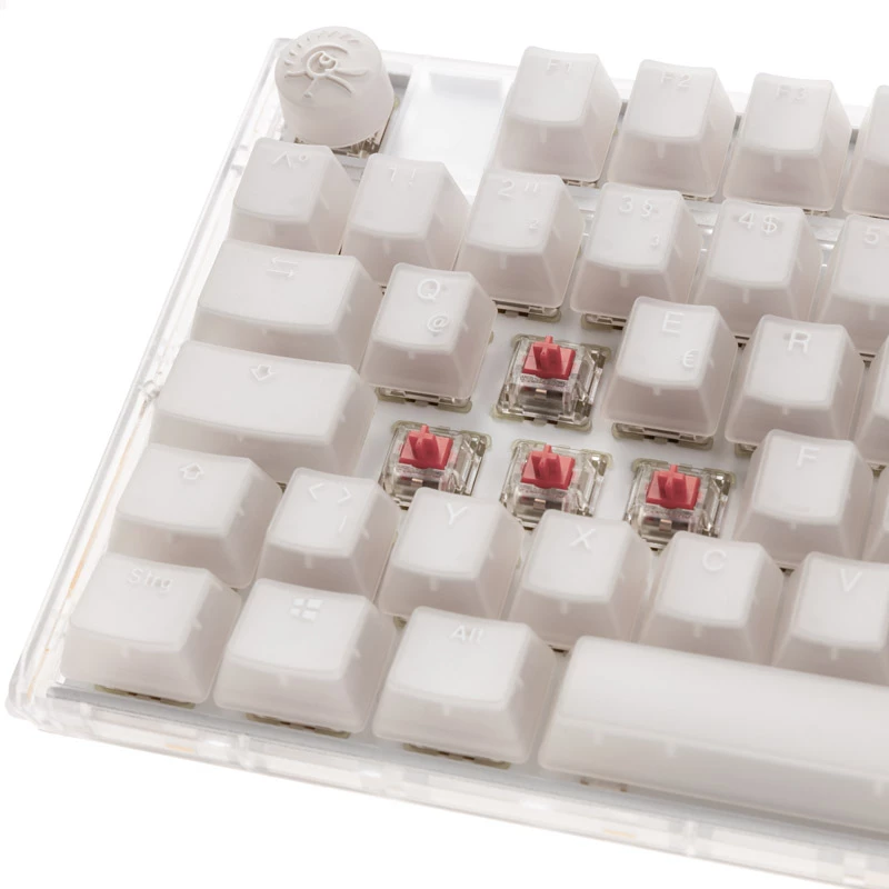 Ducky One 3 RGB klaviatuur Mängimine USB QWERTY USA inglise Valge