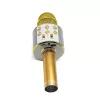 Mikrofon MANTA MIC10-G Gold kardioidne kaasaskantav — kardioidne kondensaator, pihuformaadis