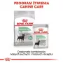 Kuiv koeratoit Royal Canin Mini Digestive Care 3 kg — väikesed tõud, linnuliha, täiskasvanud, seedimise tugi