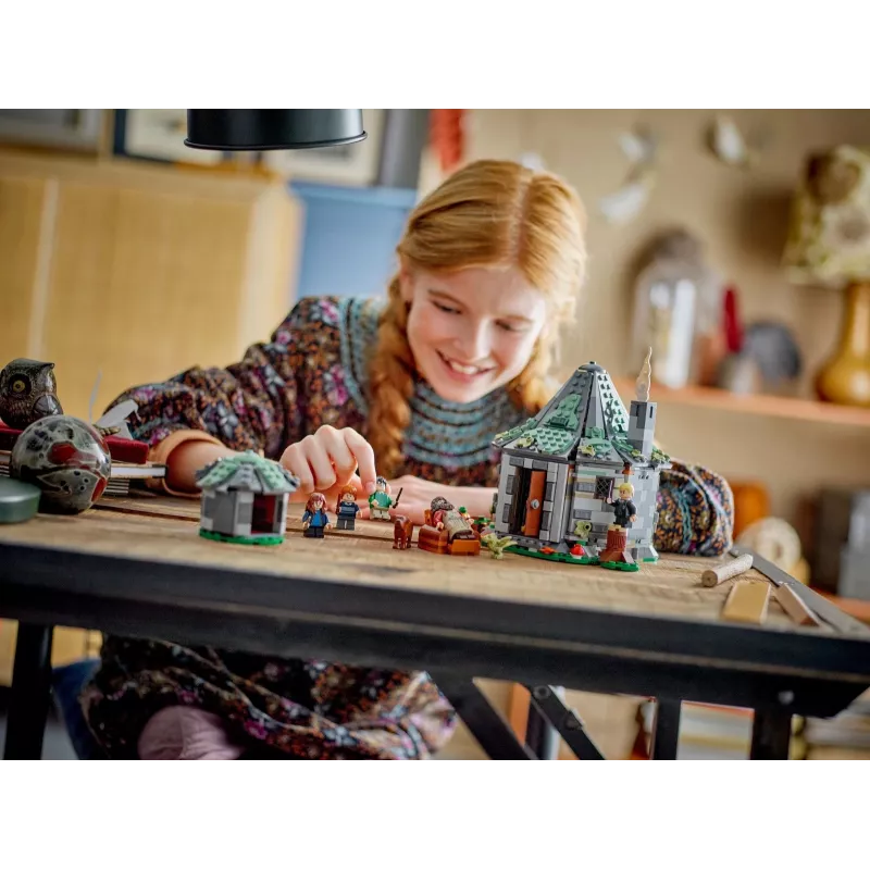 LEGO HARRY POTTER 76428 Hagridi onn – ootamatu külaskäik