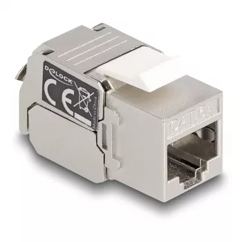 DeLOCK'i RJ45 pesa keystone-moodul LSA-le Cat.6A LED-iga, hõbevalge