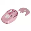 NATEC STORK hiir Kodu Mõlemakäeline RF juhtmevaba + USB Type-A Optiline 1600 DPI