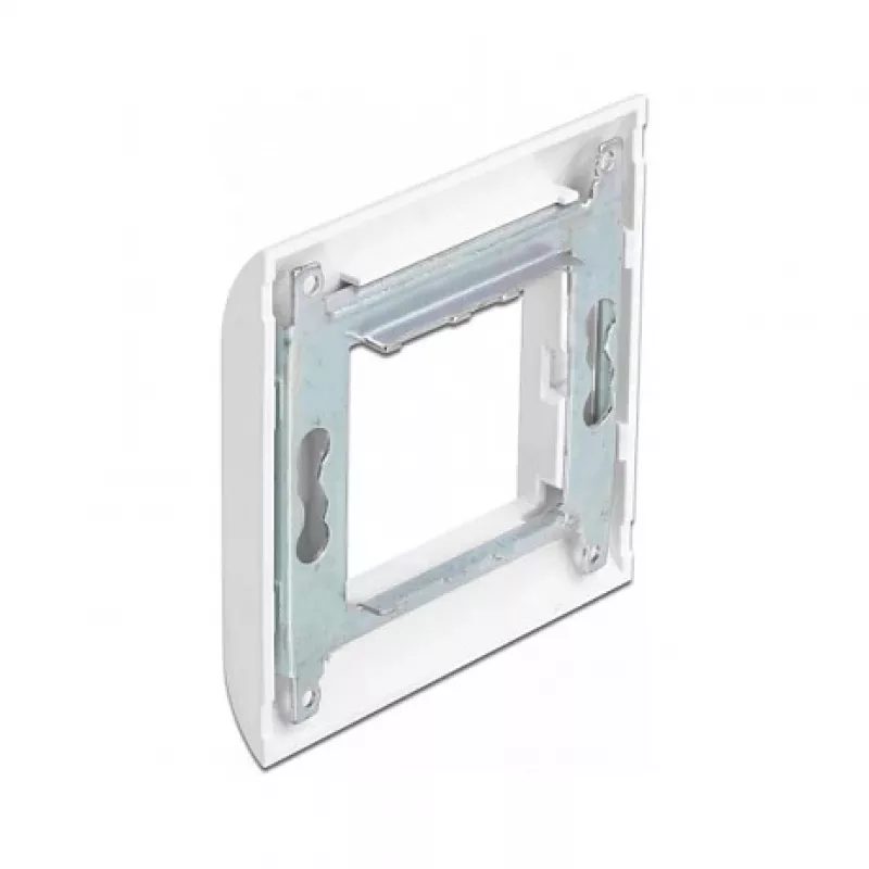 Moodulihoidik DeLOCK Easy 45 80x80 mm valge