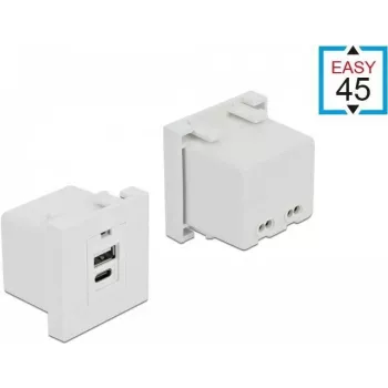 Pistikupesa USB A + USB C DeLOCK 81313