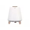 Kaasaskantav kõlar Blaupunkt BT25LAMP Valge