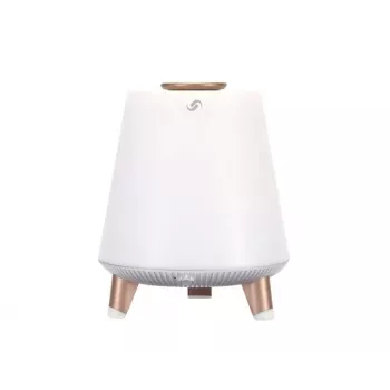 Kaasaskantav kõlar Blaupunkt BT25LAMP Valge