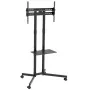 TV-alus ratastel Maclean, professionaalne, 32-70, ratastel, max VESA 600x400, max 40kg, MC-951