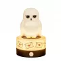 BlueSkyStudios Harry Potter -mini lamp USB-C (hämardatav)