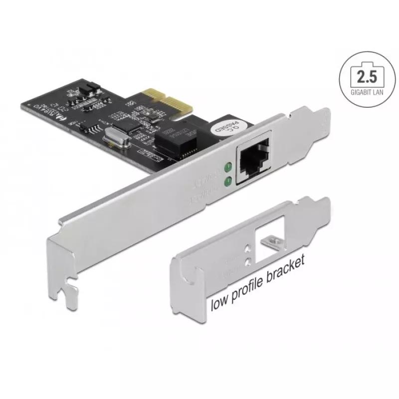 Delock - Võrguadapter - PCIe 2,1 madalprofiil - 2,5GBase-T (89598)