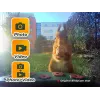 EASYPIX linnukaamera Easypix Bird Cam 10123 1080p HD öise nägemisega