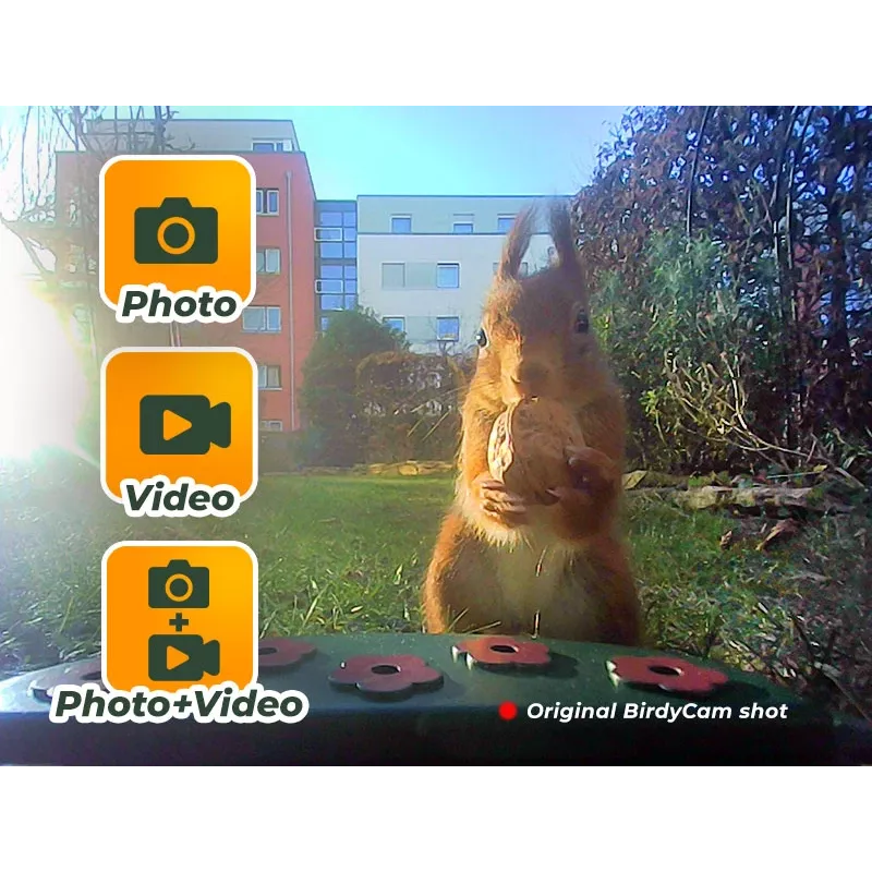 EASYPIX linnukaamera Easypix Bird Cam 10123 1080p HD öise nägemisega