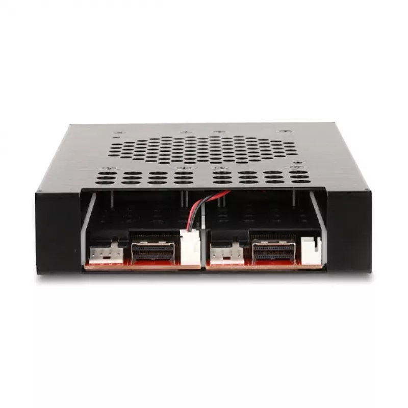 SSD korpus DeLOCK 47117 3.5-tolline mobiilraam kahele M.2 NVMe SSD-le
