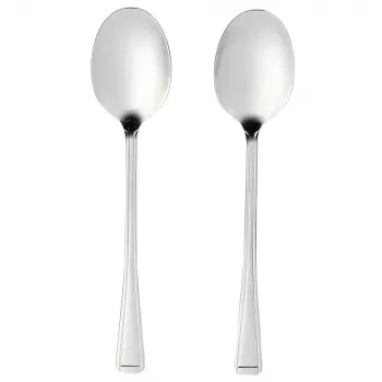 Serveerimislusikate komplekt Salter BW09649 — 2-osaline roostevaba teras, nõudepesumasinas pestav