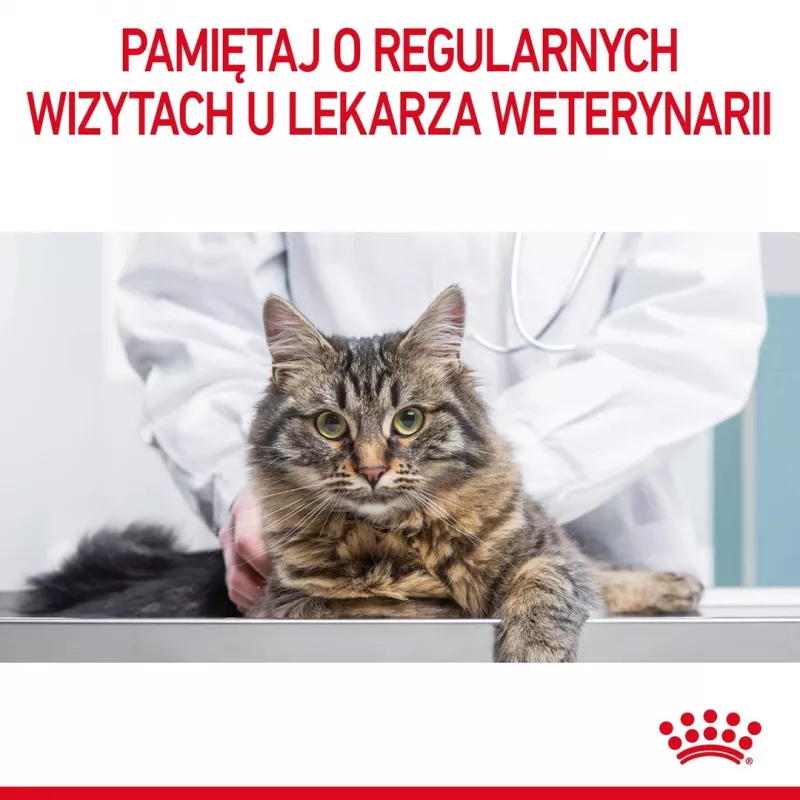 Märg kassitoit Royal Canin Urinary Care täiskasvanud kassidele linnuliha 85 g kotike (12-pakk)