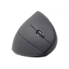 Gembird MUSW-ERGO-01 hiir paremakäeline RF-juhtmeta optiline 1600 DPI
