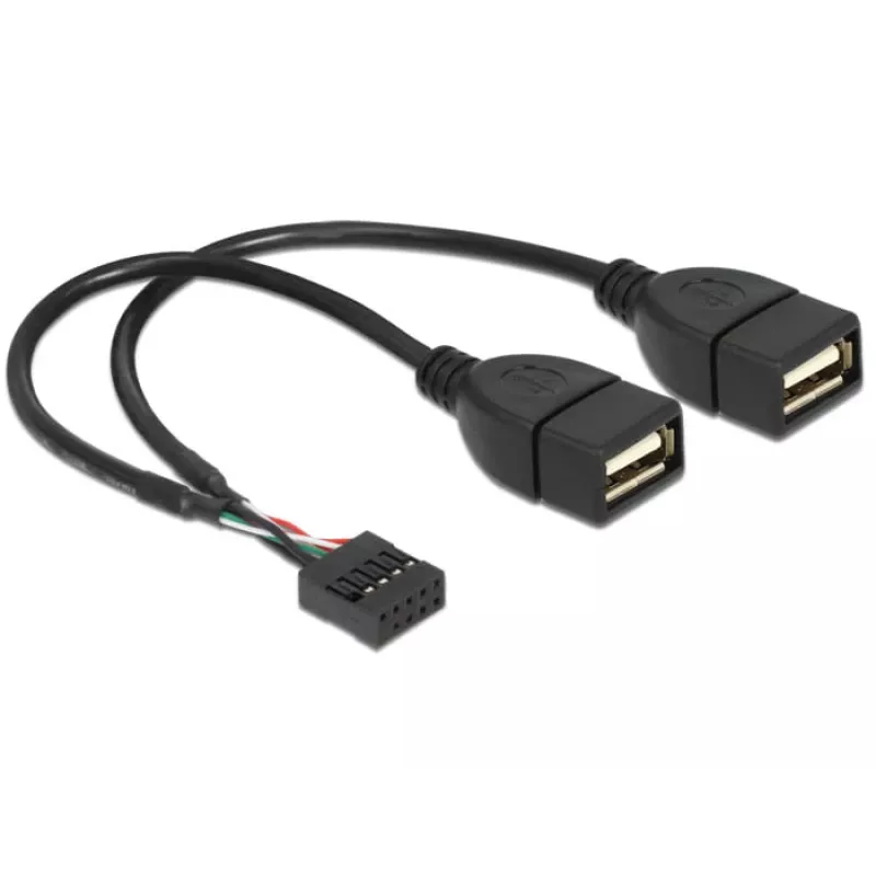 Sisemine USB-kaabel DeLOCK 83292 0,2 m emane-emanele