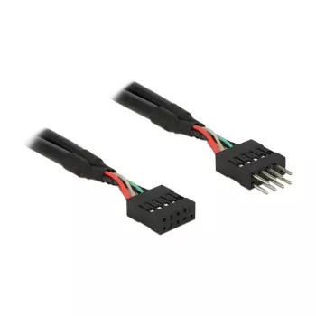 Kaabel DeLOCK 0,1m 2xUSB 2.0 10p