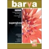Fotopaber Barva Profi Super Glossy 255 g/m² A3 20 lehte