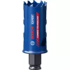 Bosch 2 608 900 422 puur-augusaag 1 tk