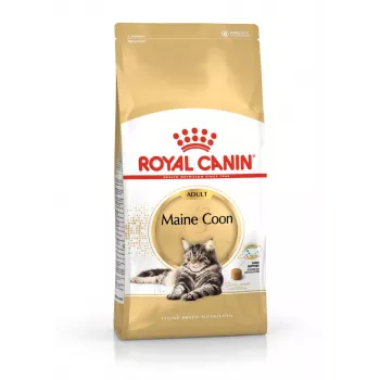 Kuiv kassitoit Royal Canin Maine Coon Adult 10 kg — linnuliha (kana), 31% valku, 20% rasva