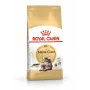 Kuiv kassitoit Royal Canin Maine Coon Adult 10 kg — linnuliha (kana), 31% valku, 20% rasva