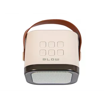 Karaoke kõlar, KARAOKE RGB Bluetooth kõlar, 30 W