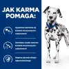 HILL'S Prescription Diet Urinary Care Originaal - märg koeratoit - 370 g