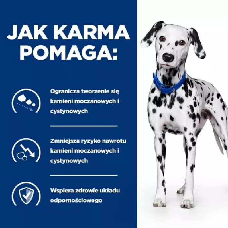 HILL'S Prescription Diet Urinary Care Originaal - märg koeratoit - 370 g