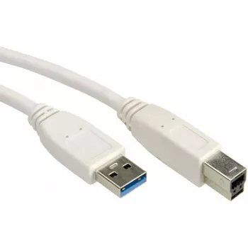 VALUE USB-kaabel - USB-tüüp A (isas) USB-tüüp B (isas)