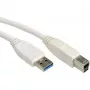 VALUE USB-kaabel - USB-tüüp A (isas) USB-tüüp B (isas)