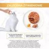 GOURMET GOLD - Savoury Cake with Chicken and Carrot 85g