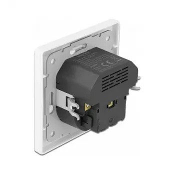 DeLOCK 11489 pistikupesa CEE 7/3 + USB valge 250V 16A