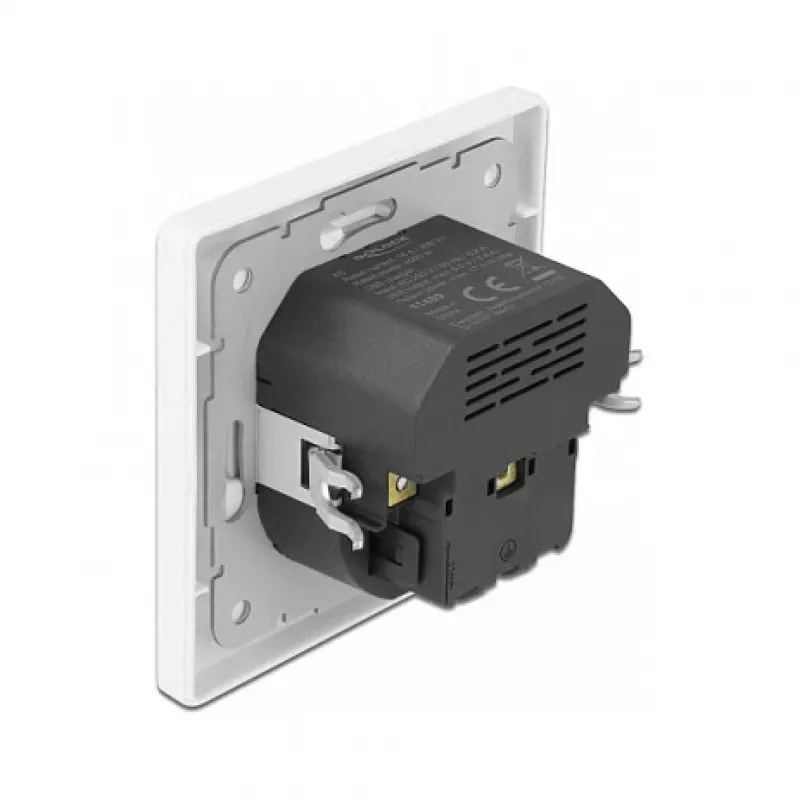 DeLOCK 11489 pistikupesa CEE 7/3 + USB valge 250V 16A